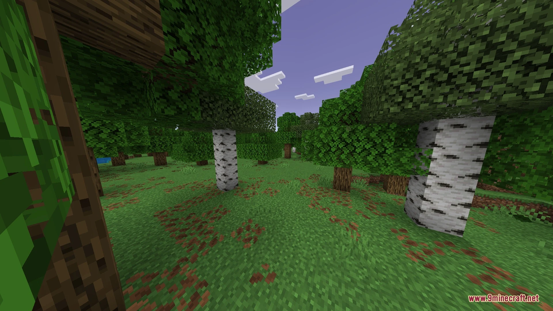 Fancy Visuals Shader (26.x) – Falling Cherry Petals and Glowing Water — screenshot 1