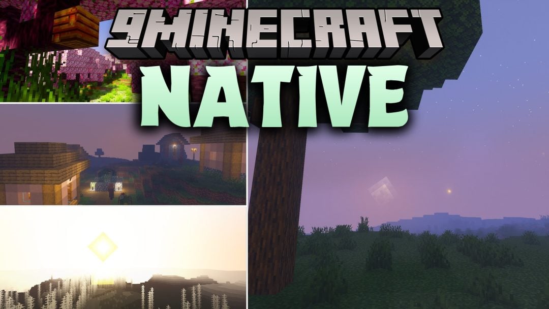 Native Shaders