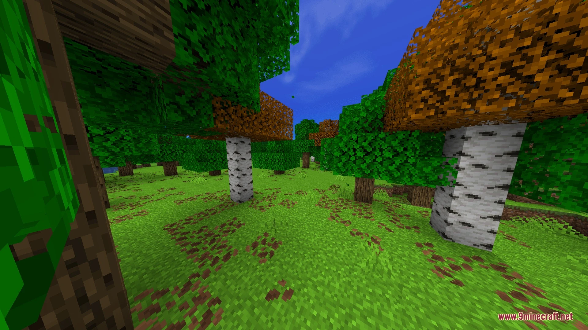 Nova Light Shader (26.x, 1.21) – Soft Shadows and Realistic Skies — screenshot 3