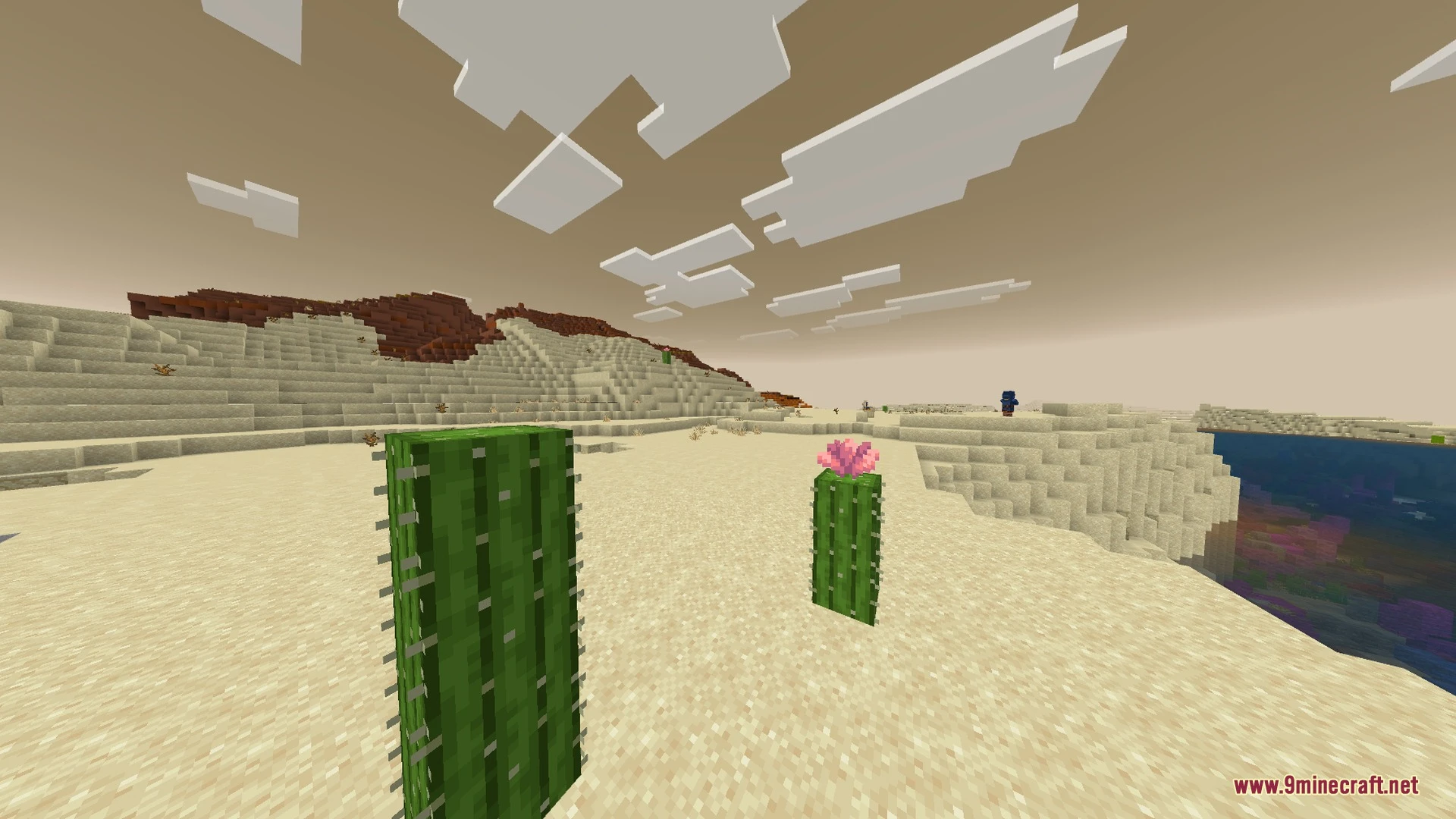 Simplistic Shader (26.x, 1.21) – Cinematic Tone Mapping and Soft God Rays — screenshot 3