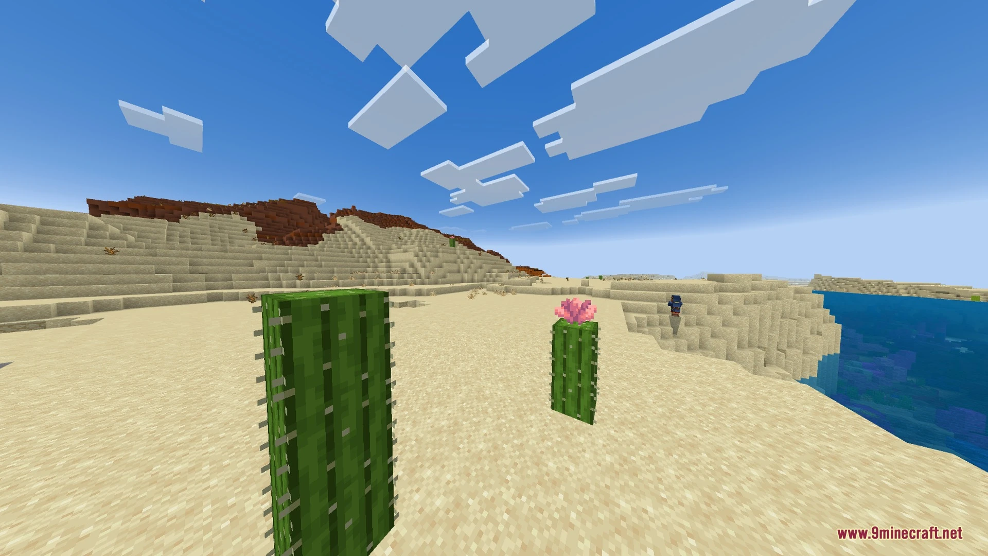 Vibrant Rtx Visuals Shader (26.x) – Saturated Colors and Smooth Shadows Screenshot 2 Vibrant Rtx Visuals Shader (26.x) – Saturated Colors and Smooth Shadows Screenshot 2