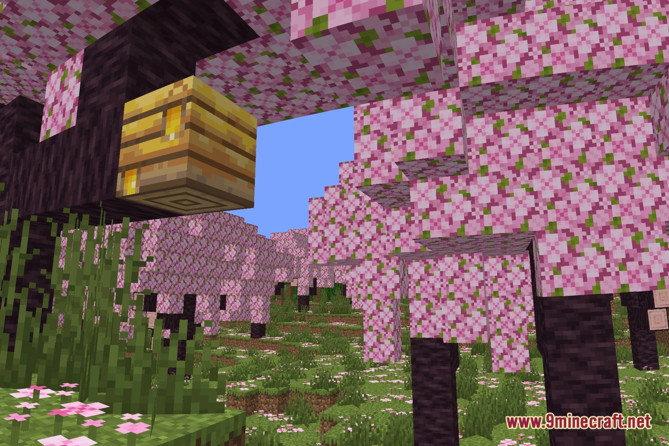 7amada Panini Projection Lite Shaders (26.3, 1.20.1) – Fixes Wide FOV Distortion — screenshot 1