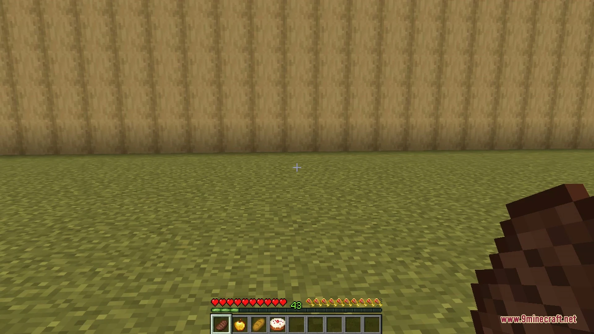 Better Food & Hunger HUD 9minecraft Mod (26.3, 1.20.1) — screenshot 5
