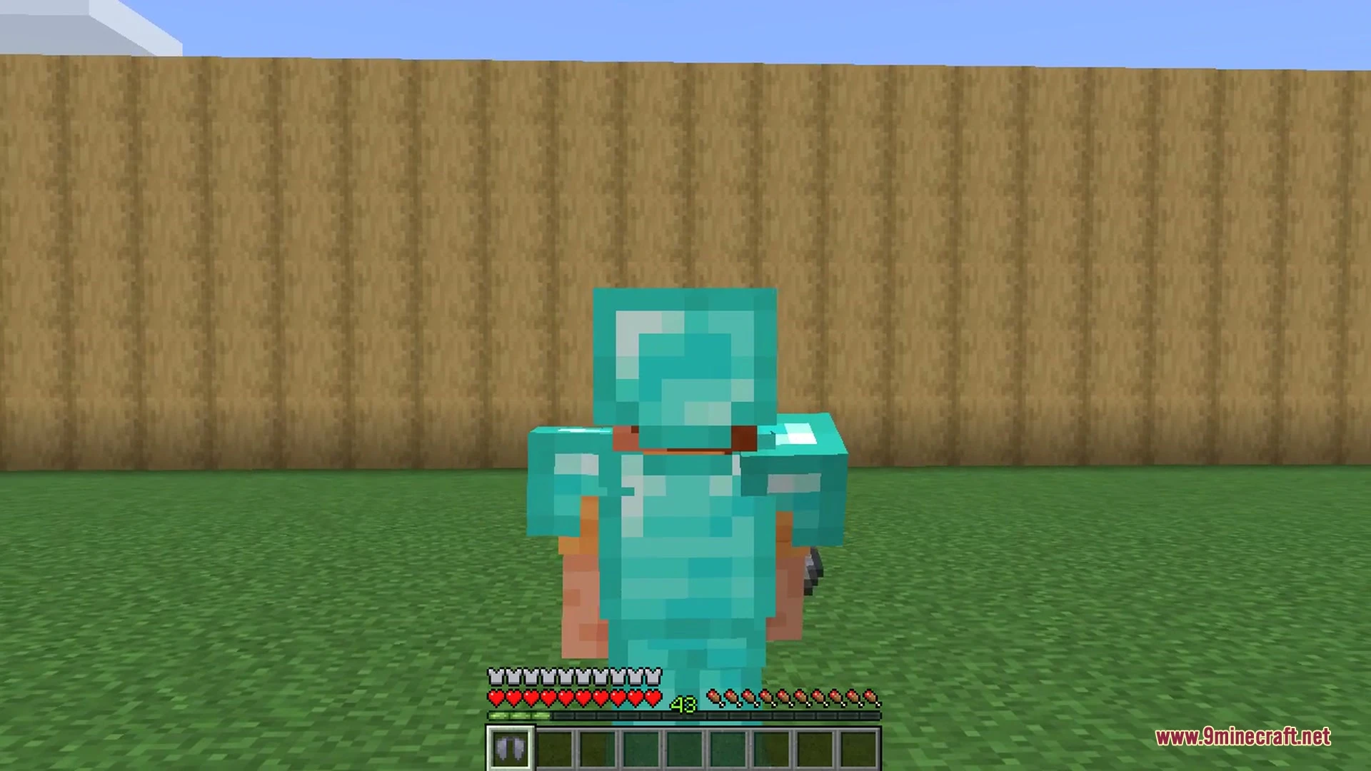 Elytra Slot 9Minecraft Mod screenshot 7