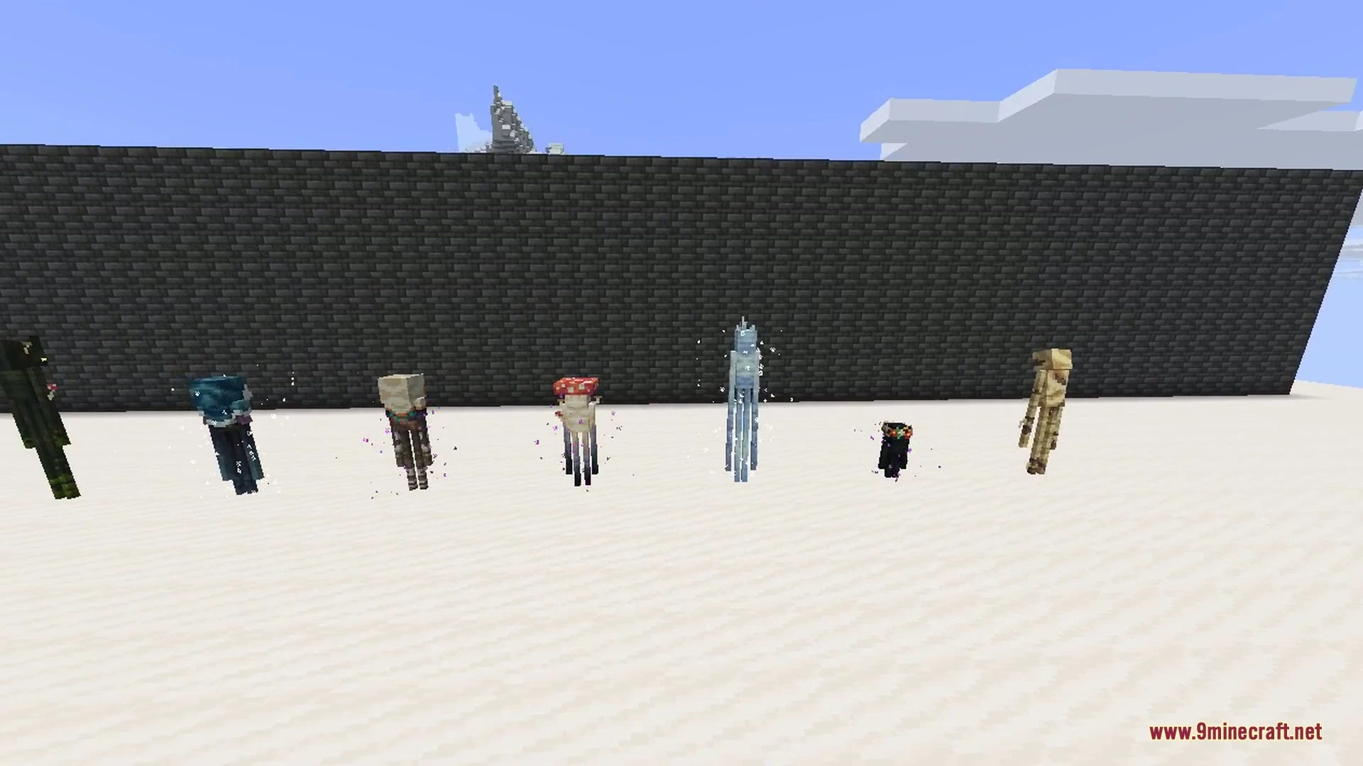 Enderman Overhaul 9minecraft Mod (26.3, 26.2) – Unique Endermen in Every Biome — screenshot 4