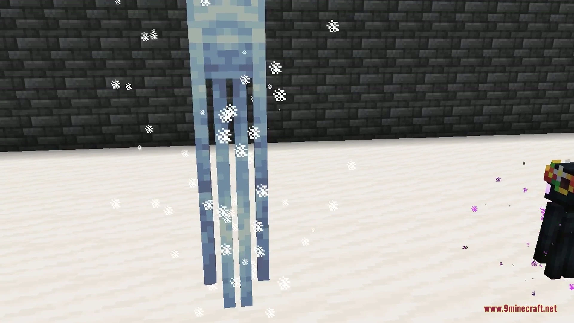 Enderman Overhaul 9minecraft Mod (26.3, 26.2) – Unique Endermen in Every Biome — screenshot 8