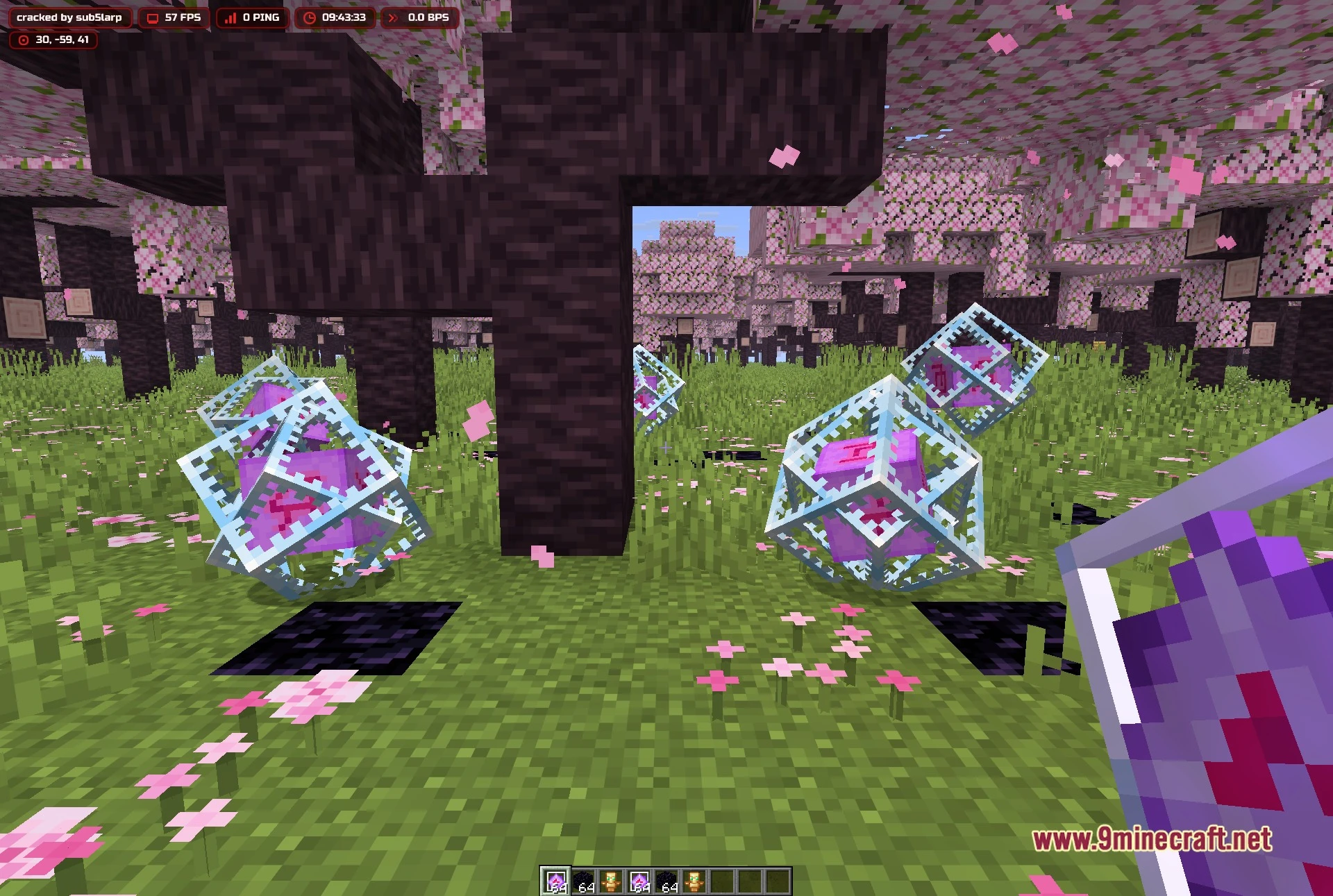 Blood v3.1 Client Mod Screenshot 2 First-person view in the cherry grove with end crystals placed around the player