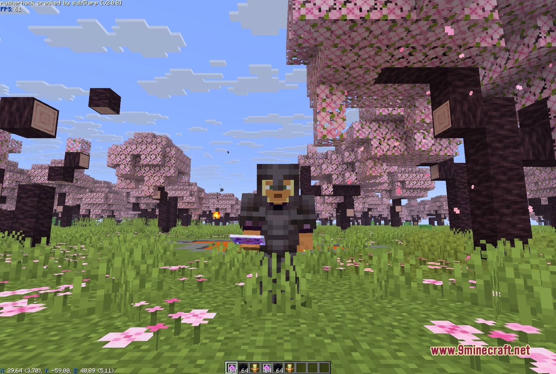 Rusherhack v2.0.8 Client Mod Screenshot 4 Wide shot of the cherry forest used to check render distance with the client running