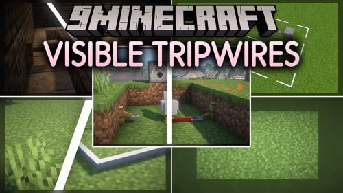 Visible Tripwires Model