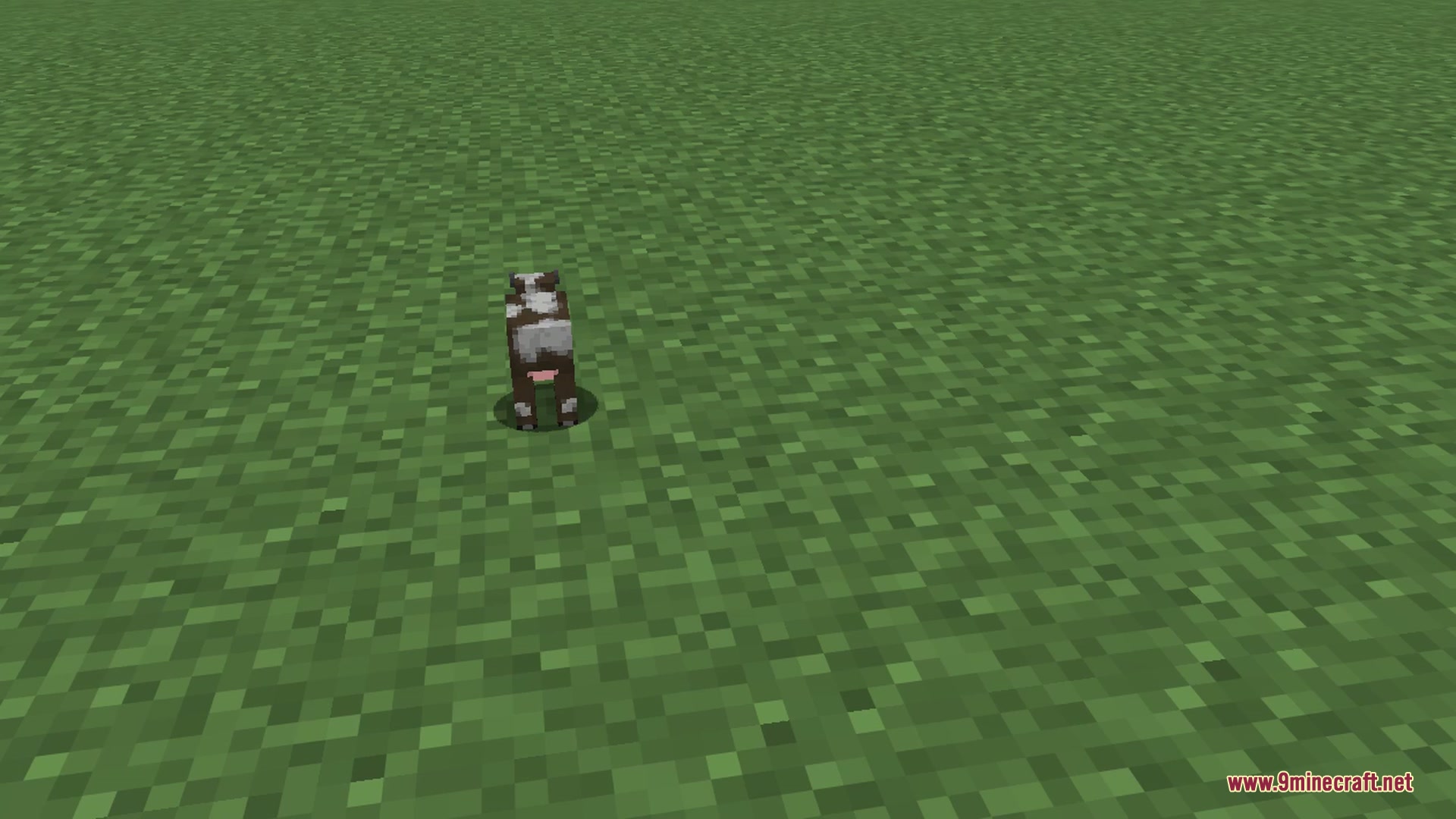 Creepers resized to giant, normal, and miniature versions