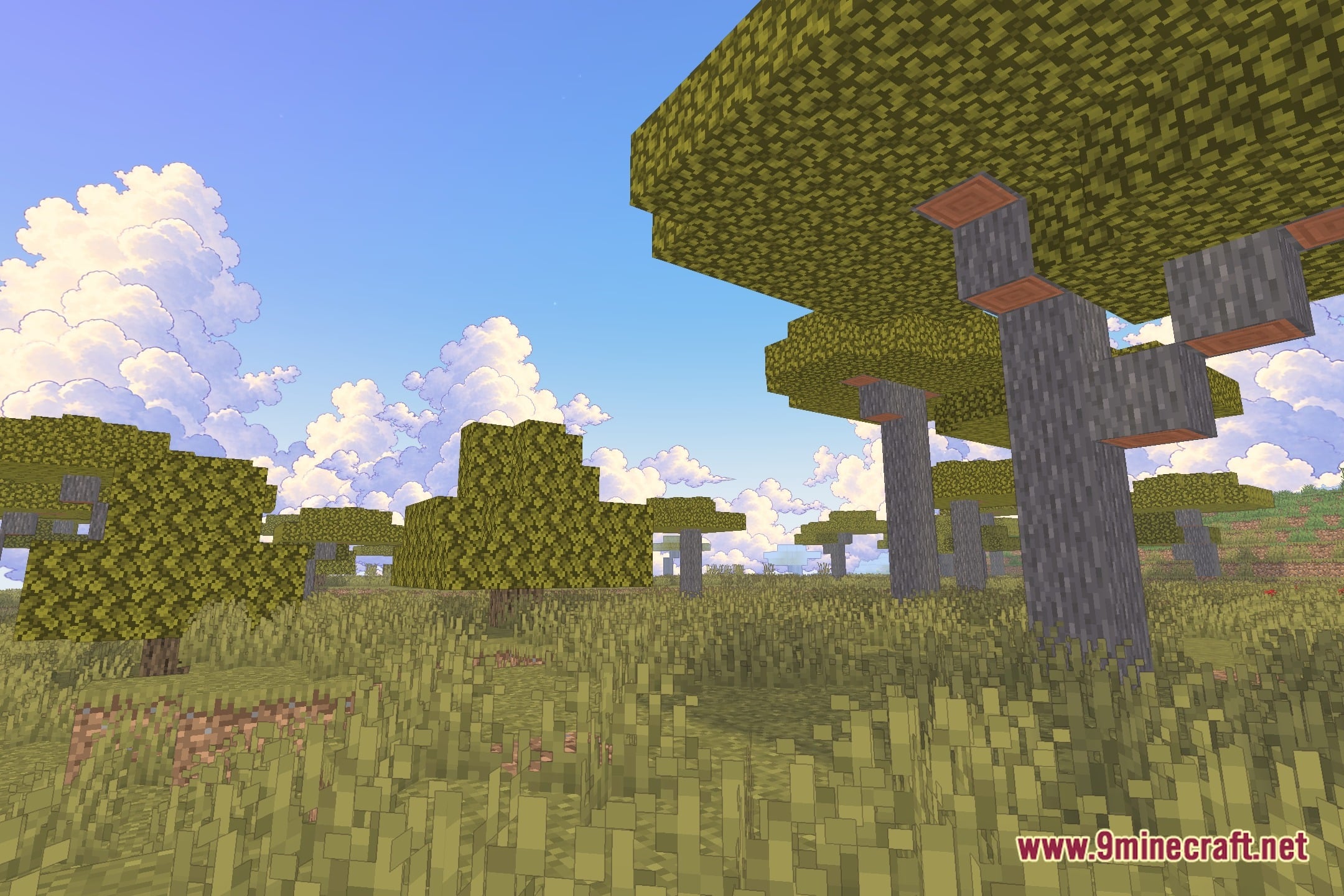 Yukee Shaders Screenshot 12