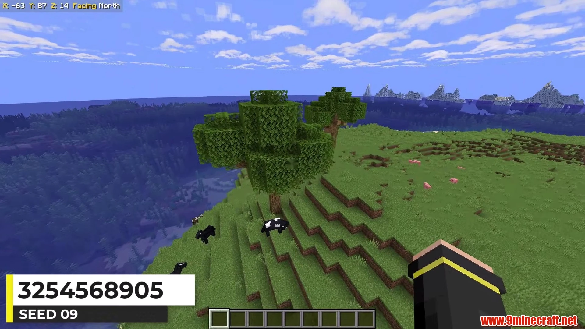 Sandy Beach & Plains Meadow - Minecraft 26.3 Island Seed 3254568905 view 2