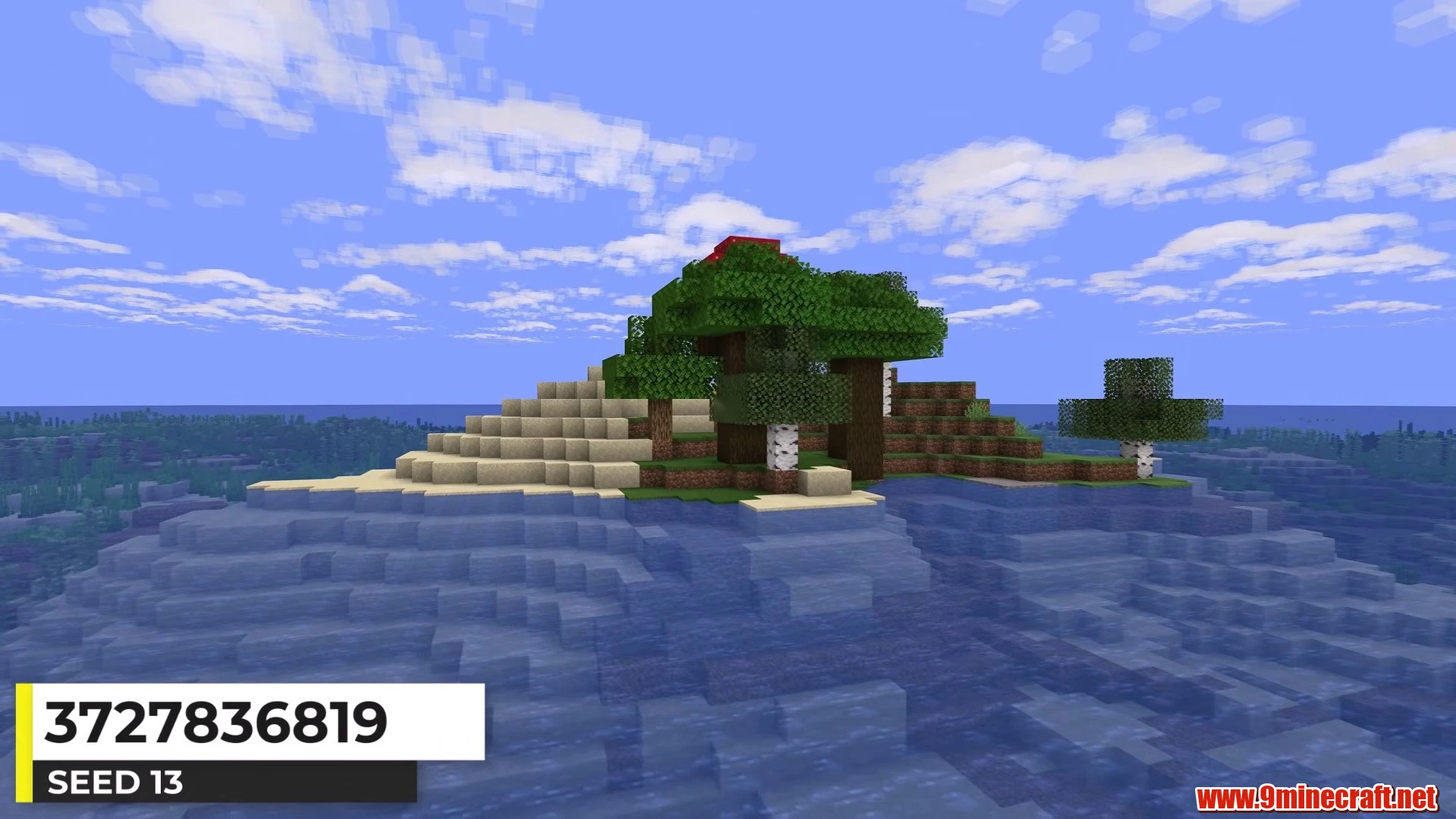 Dark Forest Canopy Island - Minecraft 26.3 Island Seed 3727836819 view 2
