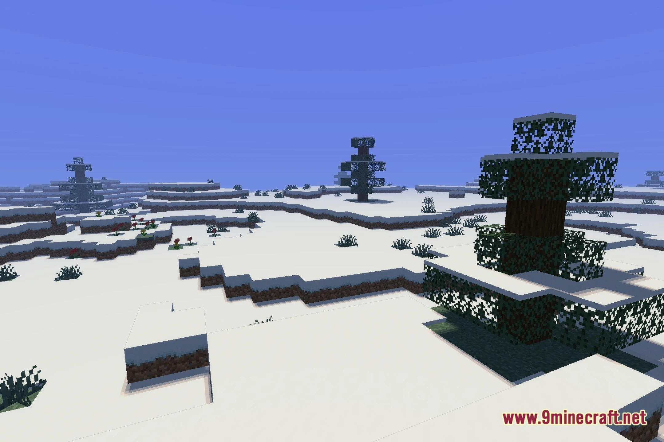 Not So Mcsm Shaders Screenshot 11