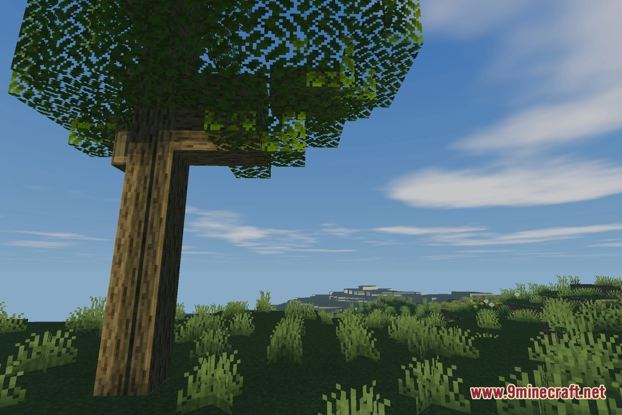 Adi Core Shaders (26.3, 1.20.1) – Soft Shadows and Colored Lighting — screenshot 4