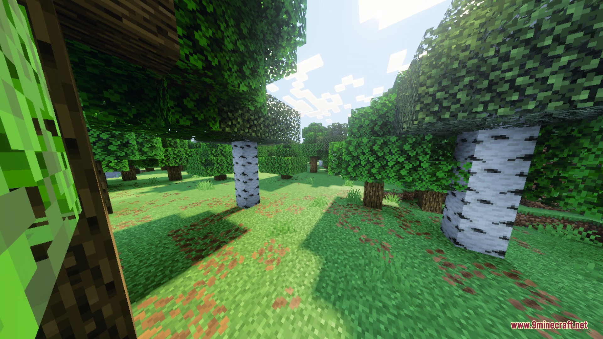 Arcane Deferred Shader (26.x, 1.21) – Rich Shadows and Fantasy Lighting Screenshot 3 Arcane Deferred Shader (26.x, 1.21) – Rich Shadows and Fantasy Lighting Screenshot 3