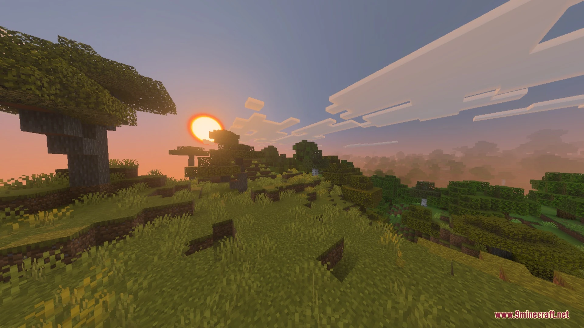 Truesky Shader (26.x, 1.21) – Cinematic Sun Rays and Sky Lighting on Mobile Screenshot 6