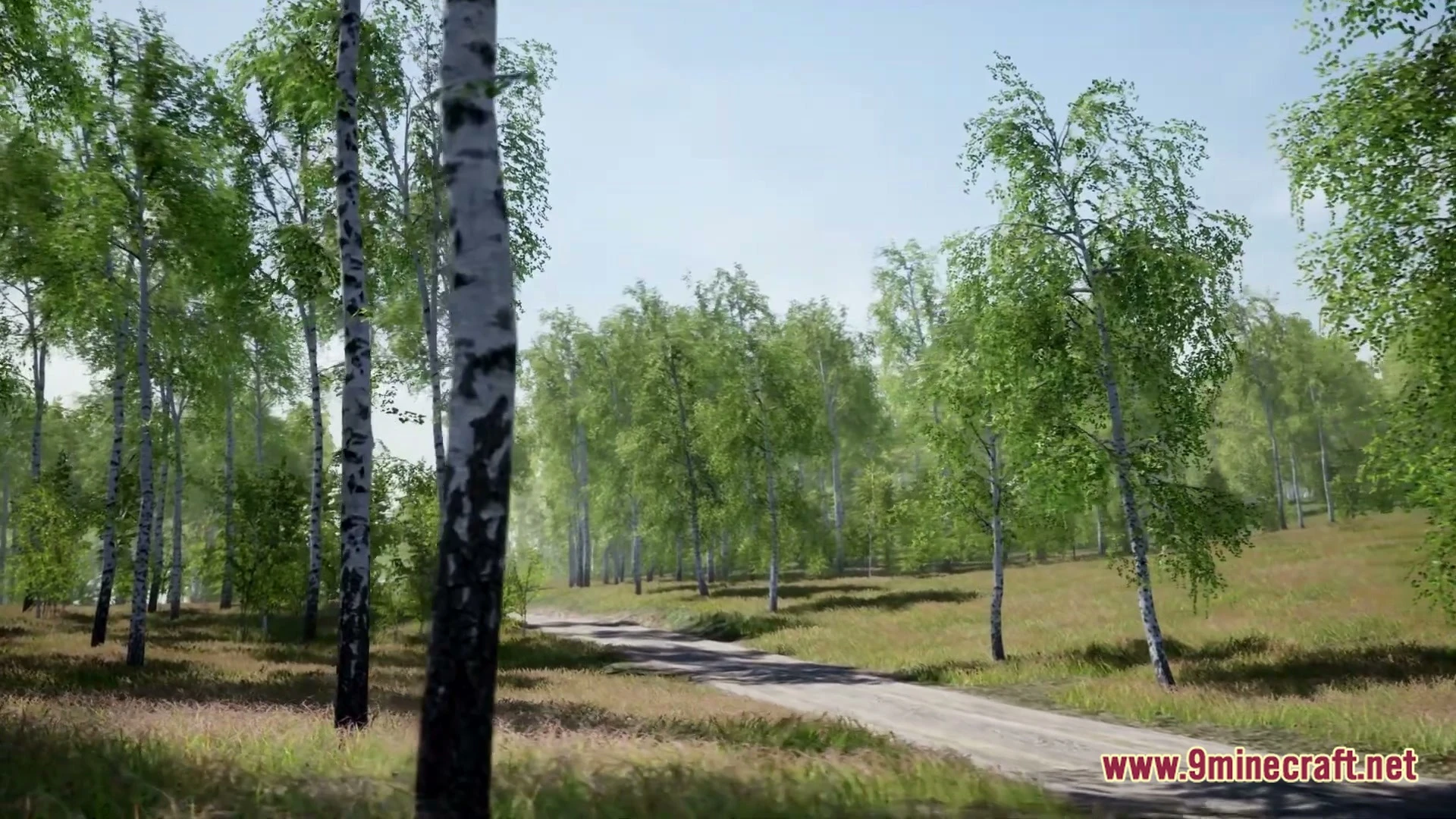 Birch Tree Asset Pack Map (26.3, 1.20.1) – Wander a Peaceful Custom Forest — screenshot 5