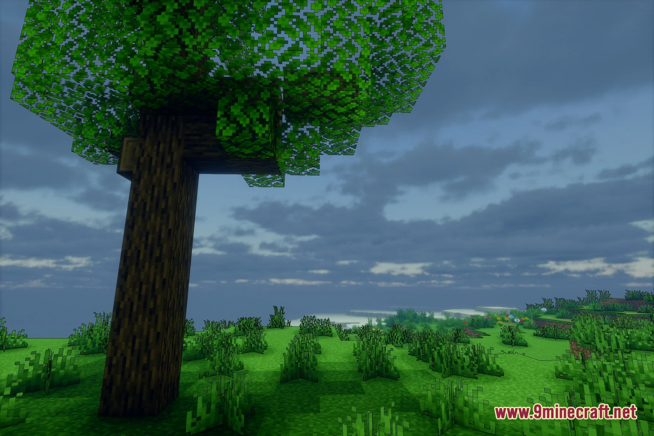 Evelite Toon Shaders (26.3, 1.20.1) – Anime Visuals with Realistic Shading — screenshot 4