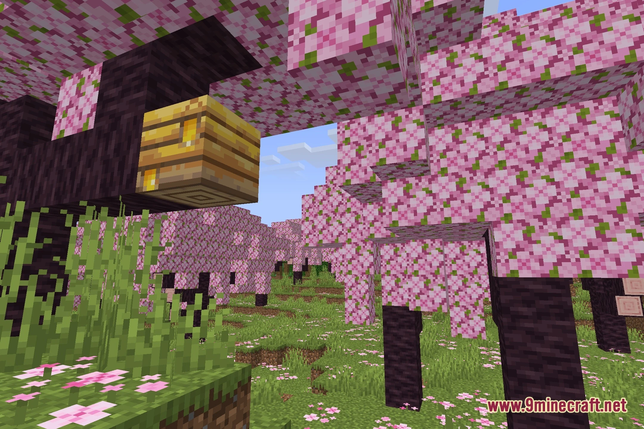 Modern Shaders (26.3, 1.20.1) – Soft Shadows and Animated Water Reflections — screenshot 1