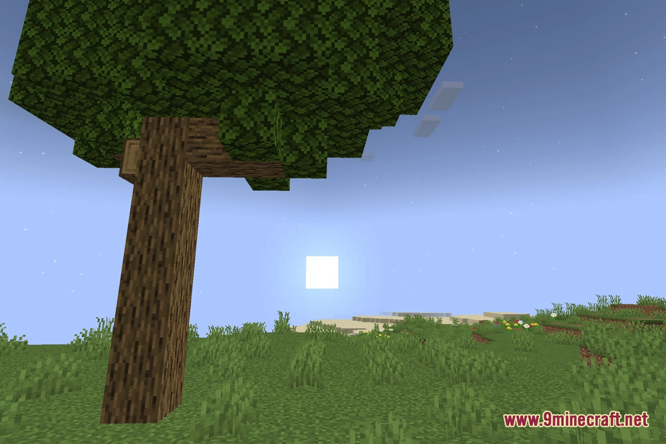 Modern Shaders (26.3, 1.20.1) – Soft Shadows and Animated Water Reflections — screenshot 4