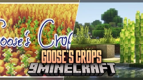 Goose's Crops Model