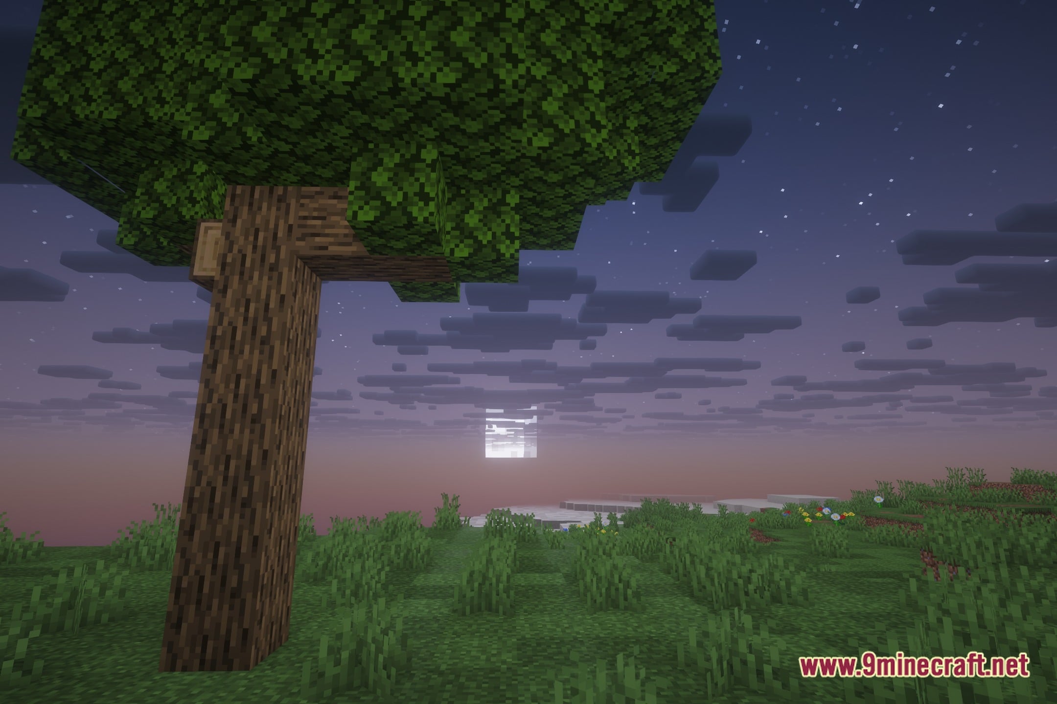Lively Nature Shaders Screenshot 4